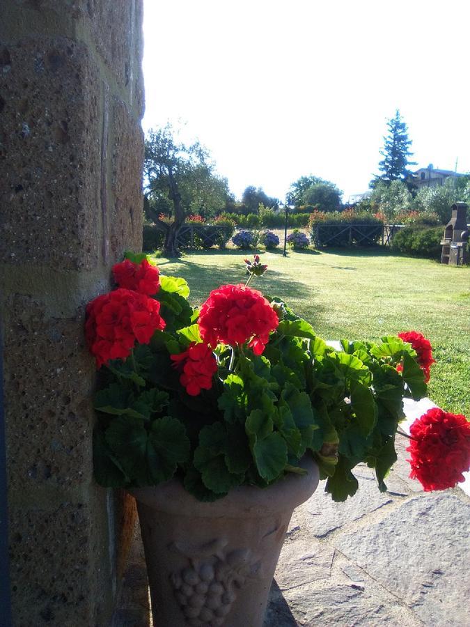 Agriturismo San Giacomo Питиляно Екстериор снимка
