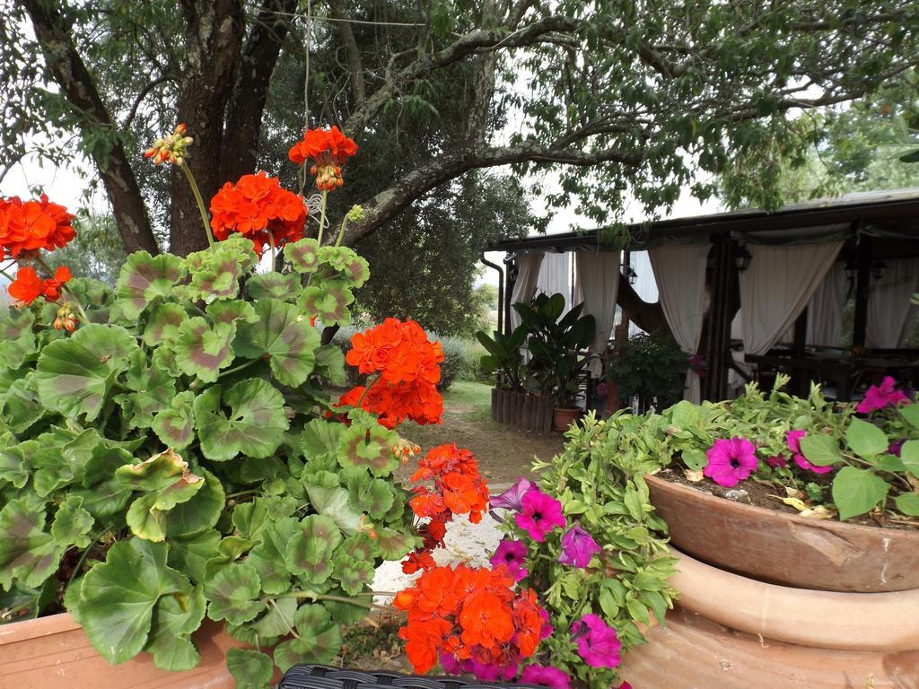 Agriturismo San Giacomo Питиляно Стая снимка